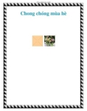 Chong chóng mùa hè