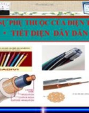 Slide bài Sự phụ thuộc của điện trở vào tiết diện dây dẫn - Vật lý 9 - N.T.Tuyên