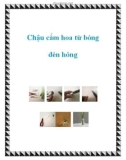 Chậu cắm hoa từ bóng đèn hỏng