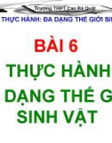 BÀI 6 THỰC HÀNH ĐA DẠNG THẾ GIỚI SINH VẬT