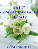 Slide bài Công nghệ cắt gọt kim loại - Công nghệ 11 - GV.T.M.Châu