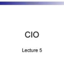 Lecture Business management information system - Lecture 5: CIO