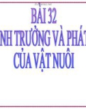 Bài giảng Công nghệ 7 bài 32: Sự sinh trưởng và phát dục của giống vật nuôi