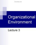 Lecture Business management information system - Lecture 3: Organizational environment