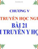 Giáo án điện tử môn sinh học: Sinh học lớp 12- Bài 21 -Di truyền y học ở Người