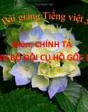 Bài giảng Chính tả: Nghe, viết: Anh bộ đội Cụ Hồ gốc Bỉ - Tiếng việt 5 - GV.N.T.Hồng