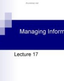 Lecture Business management information system - Lecture 17: Managing information