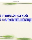 Bài giảng Công nghệ 7 bài 37: Thức ăn vật nuôi