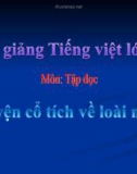 Bài Tập đọc: Chuyện cổ tích về loài người - Bài giảng điện tử Tiếng việt 4 - GV.N.Phương Hà