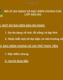 ĐA DẠNG VÀ ĐẶC ĐIỂM CHUNG CỦA LỚP SÂU BỌ