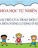 Bài giảng Sinh học 7 bài 17 sách Cánh diều: Vai trò của trao đổi chất và chuyển hóa năng lượng ở sinh vật