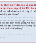 Bài giảng Sinh học 7 bài 34 sách Cánh diều: Các yếu tố ảnh hưởng tới sinh sản và điều khiển sinh sản ở sinh vật