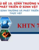 Bài giảng Sinh học 7 bài 30 sách Cánh diều: Sinh trưởng và phát triển ở thực vật