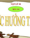 Bài giảng Lực hướng tâm - Vật lý 10 - GV. L.N.Trinh