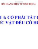 Bài giảng Sinh học 6 bài 4: Có phải tất cả thực vật đều có hoa không?