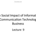 Seminars in IT for Businesses - Lecture 9: The social impact of information and communication technology on business