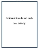 Mát ruột trưa hè với canh hoa thiên lý