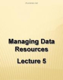 Seminars in IT for Businesses - Lecture 5: Managing data resources