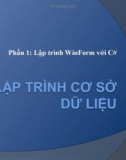 Bài giảng điện tử môn tin học: Lập trình WinForm với C#