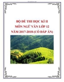 Bộ đề thi học kì 2 môn Ngữ văn lớp 12 năm 2017-2018 có đáp án