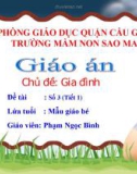 Giáo án Chủ đề: Gia đình (Tiết 1) - GV. Phạm Ngọc Bình