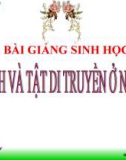 Bài giảng Sinh học 9 bài 29: Bệnh và tật di truyền ở người