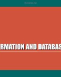 Seminars in IT for Businesses - Lecture 13: Information and databases (Part 2)