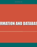 Seminars in IT for Businesses - Lecture 12: Information and databases (Part 1)