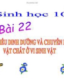 Bài giảng Sinh học 10 bài 22: Các kiểu dinh dưỡng và chuyển hoá vật chất ở vi sinh vật