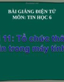 Bài giảng Tổ chức thông tin trong máy tính - Tin học 6 - GV.H.Mạnh Tuấn