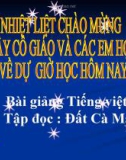 Bài giảng Tập đọc: Đất Cà Mau - Tiếng việt 5 - GV.N.T.Hồng