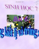 Bài giảng Sinh học 7 bài 6: Trùng kiết lị và trùng sốt rét