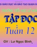 Giáo án điện tử tiểu học: Tập đọc mẹ