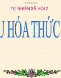 Bài 6: Tiêu hóa thức ăn - Bài giảng điện tử Tự nhiên Xã hội 2 - L.K.Chi