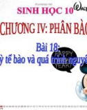 Bài giảng Sinh học 10: Bài 18 - Chu kỳ tế bào và quá trình nguyên phân