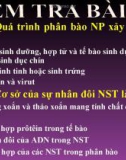 Bài giảng Sinh học 10 - Bài 19: Giảm phân - Đinh Hoàng Anh