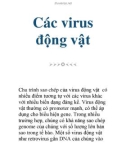 Các virus động vật