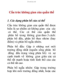 Cấu trúc không gian của quần thể