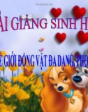 Bài giảng Sinh học 7 bài 1: Thế giới động vật đa dạng, phong phú