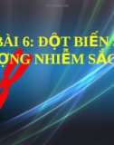 Bài giảng Sinh học: Đột biến số lượng nhiễm sắc thể