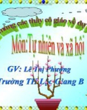 Bài giảng Tự nhiên và xã hội 1 - Bài 5: Vệ sinh thân thể