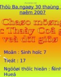 Bài giảng điện tử môn sinh học: ngành giun đốt