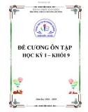 Đề cương ôn tập học kì 1 môn Hóa học 9 năm 2018-2019 - Trường THCS Chương Dương