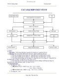 Đề cương ôn tập hóa học 9 - GV. Trần Văn Cân