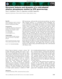 Báo cáo khoa học: Structural features and dynamics of a cold-adapted alkaline phosphatase studied by EPR spectroscopy