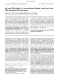 Báo cáo khoa học: De novo RNA synthesis by a recombinant classical swine fever virus RNA-dependent RNA polymerase