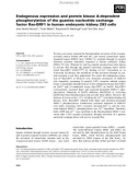 Báo cáo khoa học: Endogenous expression and protein kinase A-dependent phosphorylation of the guanine nucleotide exchange factor Ras-GRF1 in human embryonic kidney 293 cells