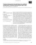 Báo cáo khoa học: Calcium-independent phospholipase A2 mediates proliferation of human promonocytic U937 cells