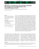 Báo cáo khoa học: Membrane compartments and purinergic signalling: P2X receptors in neurodegenerative and neuroinﬂammatory events