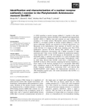 Báo cáo khoa học: Identiﬁcation and characterization of a nuclear receptor subfamily I member in the Platyhelminth Schistosoma mansoni (SmNR1)